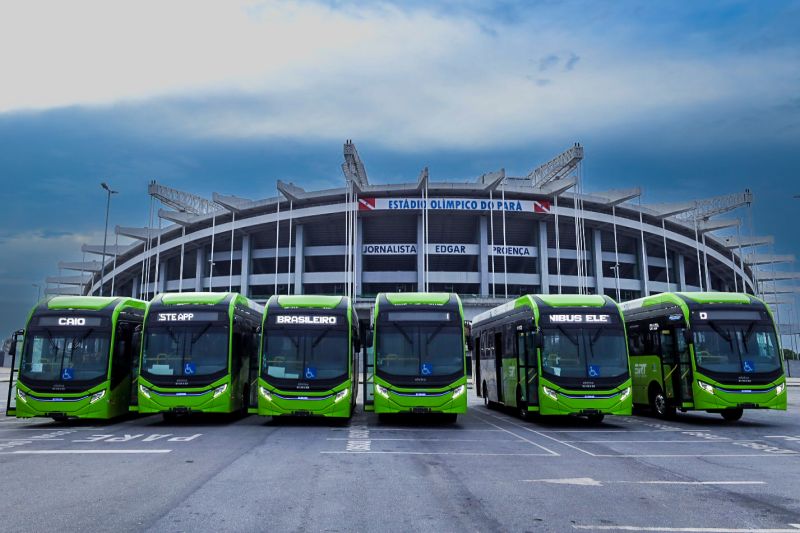 seis ônibus